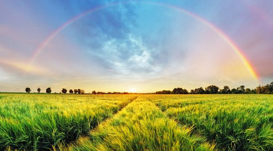 ..über dem Regenbogen..
